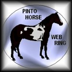Welcome to the Pinto Horse Web-Ring Homepage